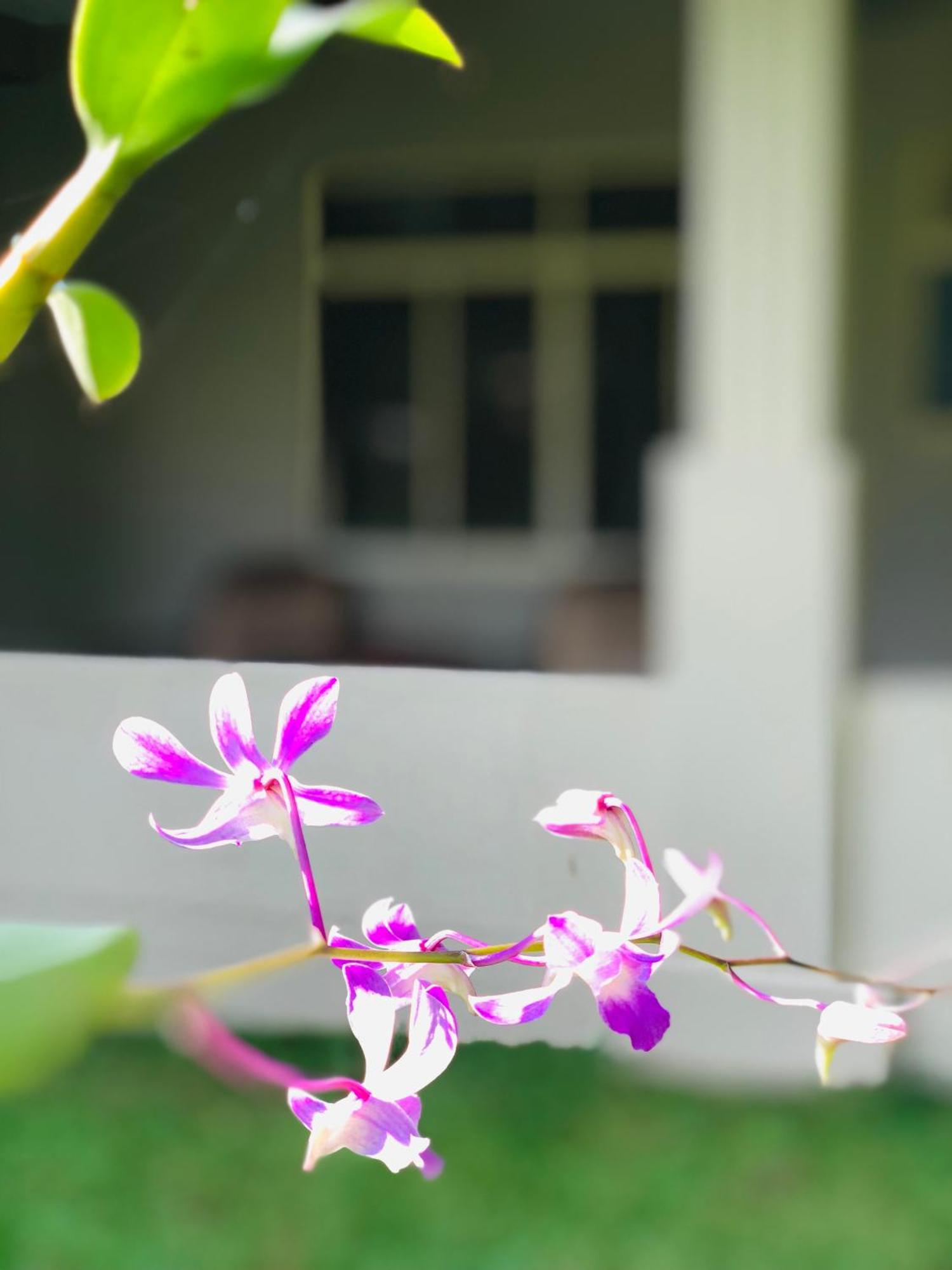 Paradise Garden Beruwala Exterior foto